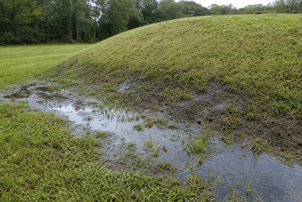 Side slope seepage and standing water at the base of an aging mound septic system