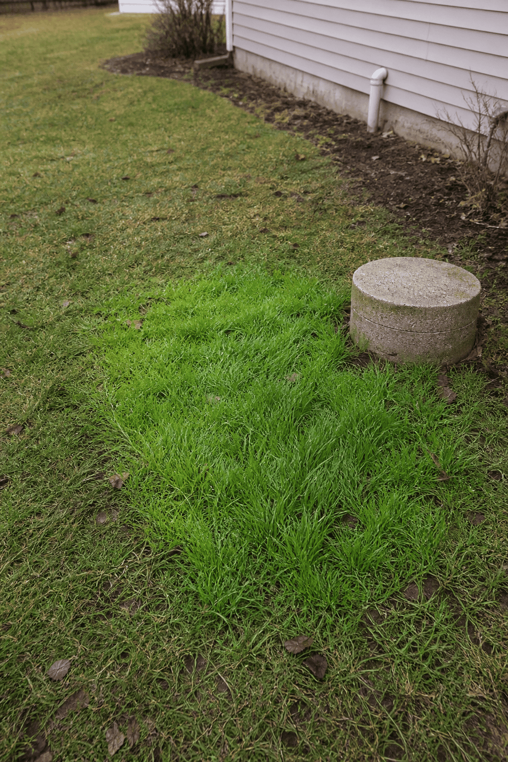 Open septic tank access during an urgent septic backup or overflow evaluation in Northeast Ohio