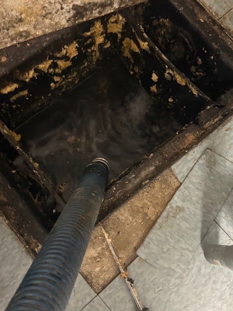 Grease trap cleaning: vacuum hose pumping out a commercial grease trap