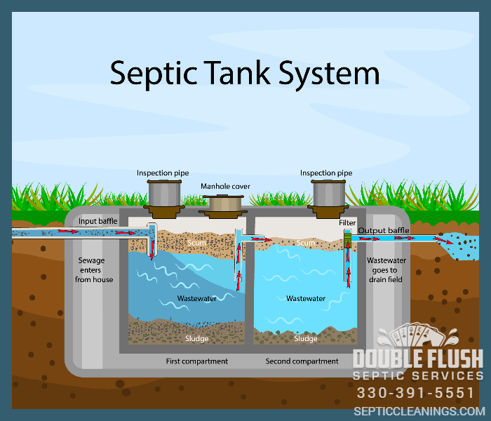 HOW SEPTIC BACTERIA WORKS WITHOUT SEPTIC TANK ADDITIVES