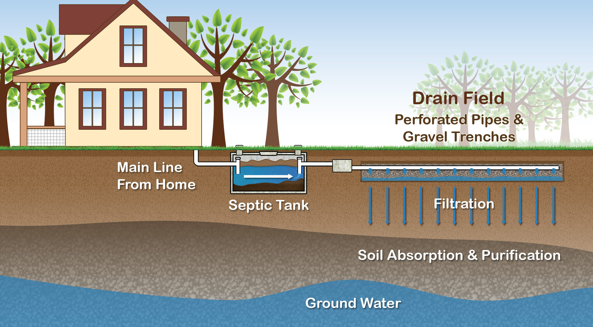 Save Money on Septic Expenses by Managing Water Use